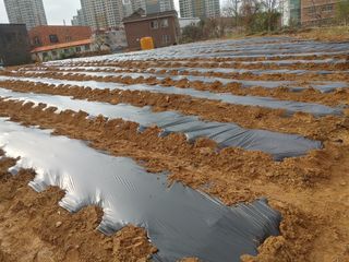 김세진님의 자유주제 · 자유게시판 작성글 사진