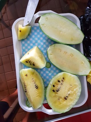 맘편한 농장님의 자유주제 · 자유게시판 작성글 사진