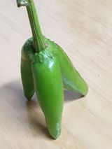 팜모닝 고추·일상 게시글 이미지