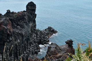 산 아래님의 마늘 · 일상 작성글 사진
