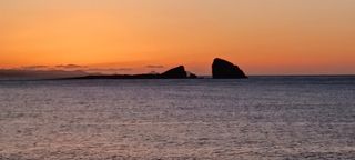 산 아래님의 마늘 · 일상 작성글 사진