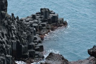 산 아래님의 마늘 · 일상 작성글 사진