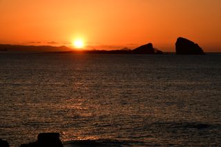 산 아래님의 마늘 · 일상 작성글 사진