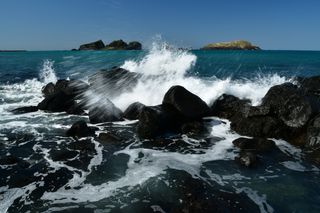 산 아래님의 마늘 · 일상 작성글 사진