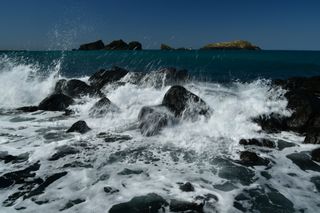 산 아래님의 마늘 · 일상 작성글 사진