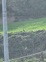 팜모닝 자유주제·자유게시판 게시글 이미지