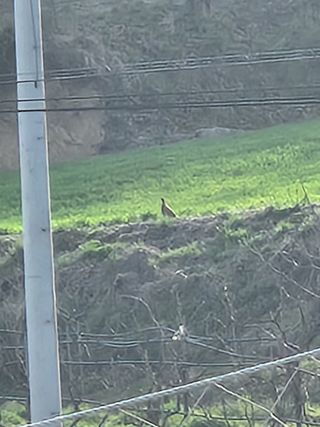 개울건너집님의 자유주제 · 자유게시판 작성글 사진