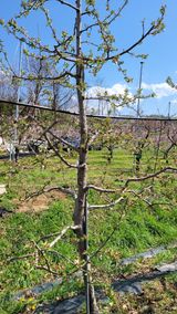 팜모닝 자유주제·자유게시판 게시글 이미지