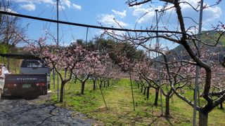 박우식님의 자유주제 · 자유게시판 작성글 사진