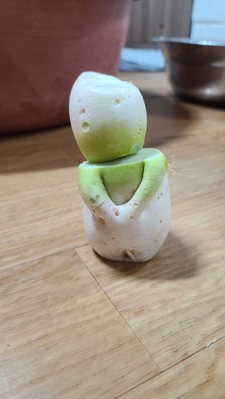 김미라님의 자유주제 · 자유게시판 작성글 사진