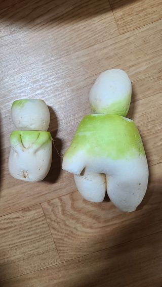 김미라님의 자유주제 · 자유게시판 작성글 사진