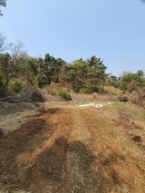 팜모닝 · 게시글 이미지