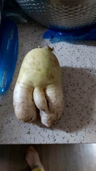 조인숙님의 자유주제 · 사진전 작성글 사진