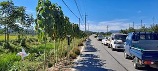 권 명주 님의 자유주제 · 자유게시판 작성글 사진