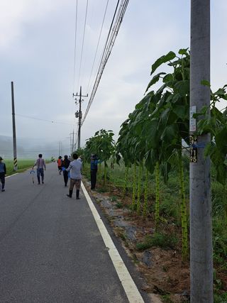권 명주 님의 자유주제 · 자유게시판 작성글 사진