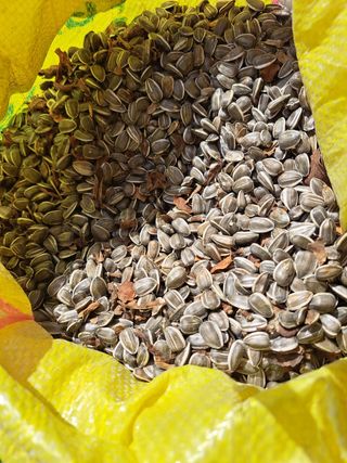 권 명주 님의 자유주제 · 자유게시판 작성글 사진