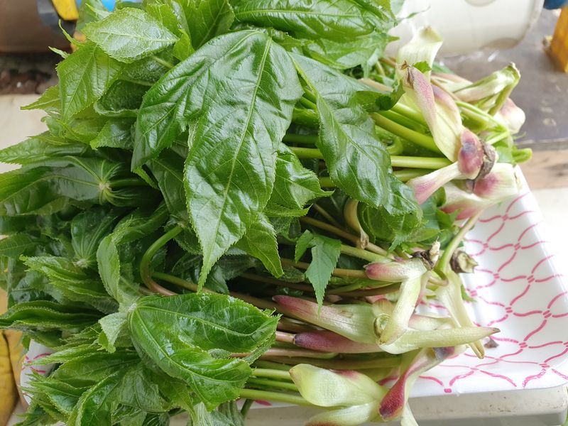 장터 상품 [자연산엄나물10키로] 썸네일