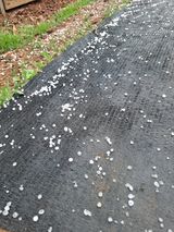 팜모닝 자유주제·자유게시판 게시글 이미지