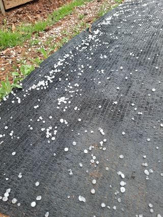 이학봉님의 자유주제 · 자유게시판 작성글 사진