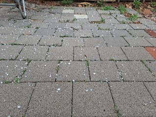 이학봉님의 자유주제 · 자유게시판 작성글 사진