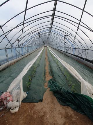 최영수님의 기타작물 · 자유게시판 작성글 사진