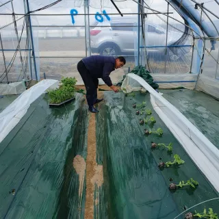 최영수님의 기타작물 · 자유게시판 작성글 사진