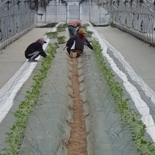 최영수님의 기타작물 · 자유게시판 작성글 사진