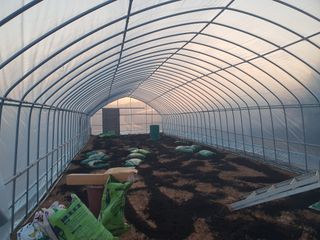 이종선님의 우리동네 · 동네수다 작성글 사진