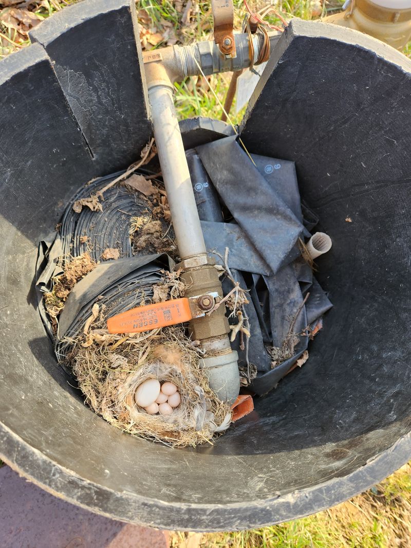 이원정님의 장터 판매 상품 [사과즙2박스(100)] 첨부 사진