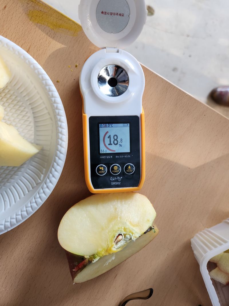 이원정님의 장터 판매 상품 [사과즙2박스(100)] 첨부 사진