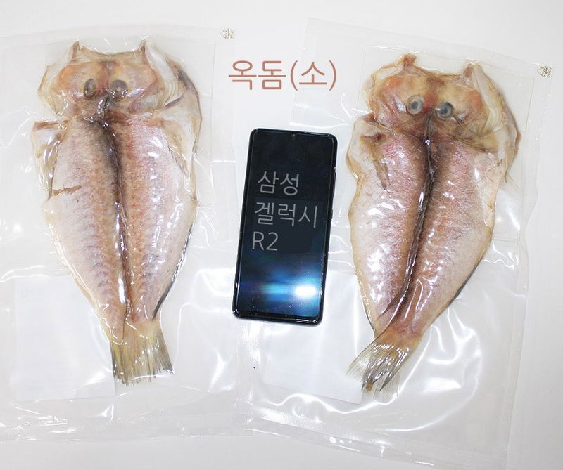 장터 상품 [못난이 제주 옥돔  ] 썸네일