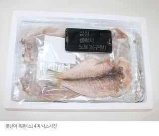 고씨네수산님의 작성글 사진