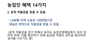 세계평화랑님의 기타작물 · 병해충상담 작성글 사진