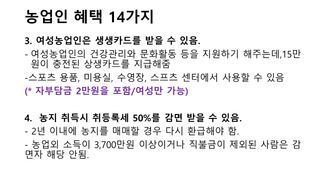 세계평화랑님의 기타작물 · 병해충상담 작성글 사진