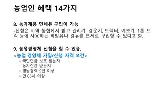 세계평화랑님의 기타작물 · 병해충상담 작성글 사진