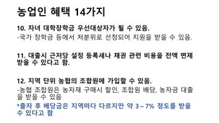 세계평화랑님의 기타작물 · 병해충상담 작성글 사진