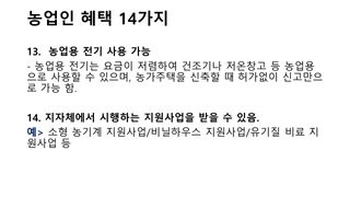 세계평화랑님의 기타작물 · 병해충상담 작성글 사진