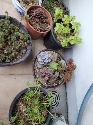 여울목님의 자유주제 · 자유게시판 작성글 사진