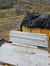 팜모닝 자유주제·자유게시판 게시글 이미지