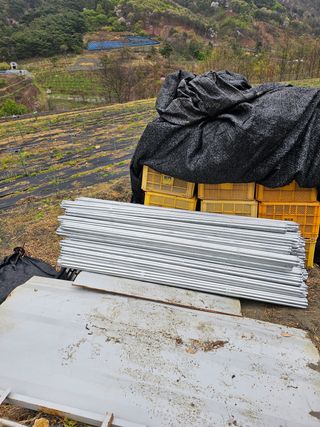 행운아님의 자유주제 · 자유게시판 작성글 사진