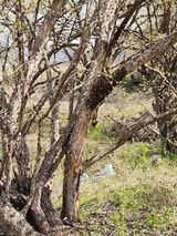 팜모닝 자유주제·자유게시판 게시글 이미지