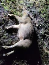 팜모닝 우리동네·동네수다 게시글 이미지