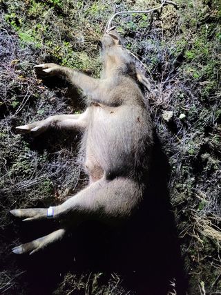 이선일님의 우리동네 · 동네수다 작성글 사진