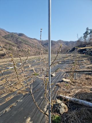행운아님의 기타작물 · 자유게시판 작성글 사진