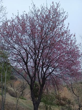 알 수 없음님의 기타작물 · 자유게시판 작성글 사진