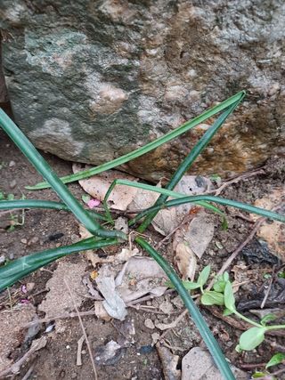 알 수 없음님의 기타작물 · 자유게시판 작성글 사진