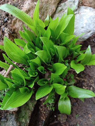 알 수 없음님의 기타작물 · 자유게시판 작성글 사진