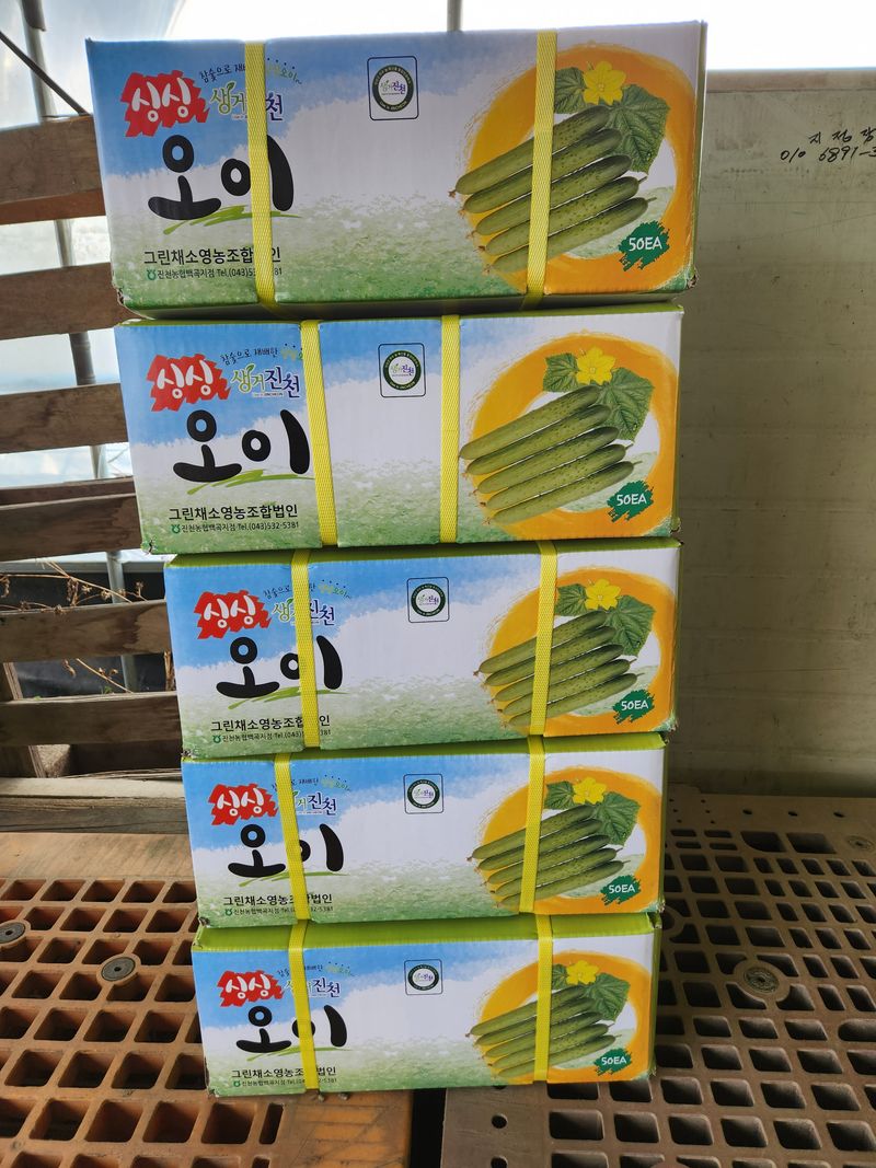 바이오진담 ㅡ새싹삼님의 장터 판매 상품 [오이 상30개 21900원] 첨부 사진