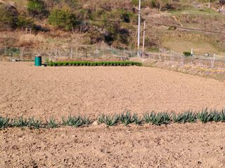 휴민트신님의 농기계정보 · 자유게시판 작성글 사진