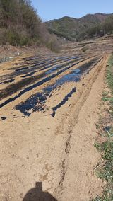 팜모닝 기타작물·자유게시판 게시글 이미지